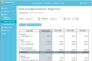 Budget prévisionnel mensuel